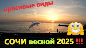 Прогулка по центру Сочи и набережной весной 2025!!! Красивые виды и закат на набережной Сочи. 🌴🌴🌴