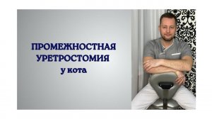 Промежностная уретростомия у кота