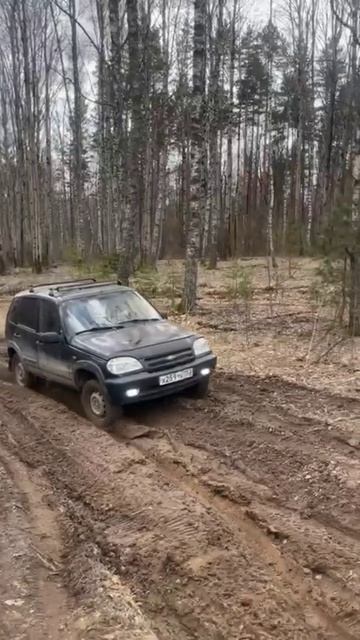 Шнива смотреть онлайн