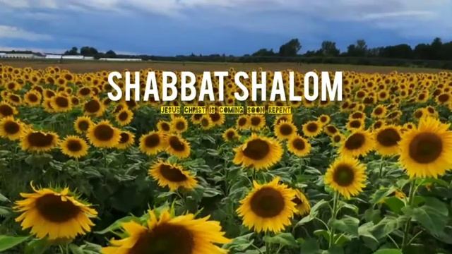 Shabbat Shalom Song