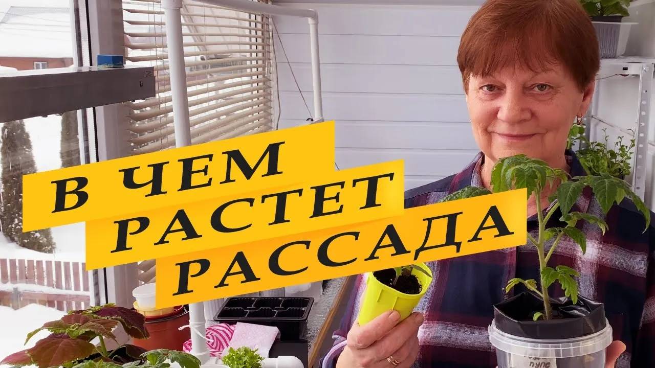 Сколько грунта надо рассаде. смотреть онлайн