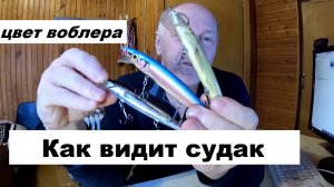 Как видит судак. Цвет воблера.