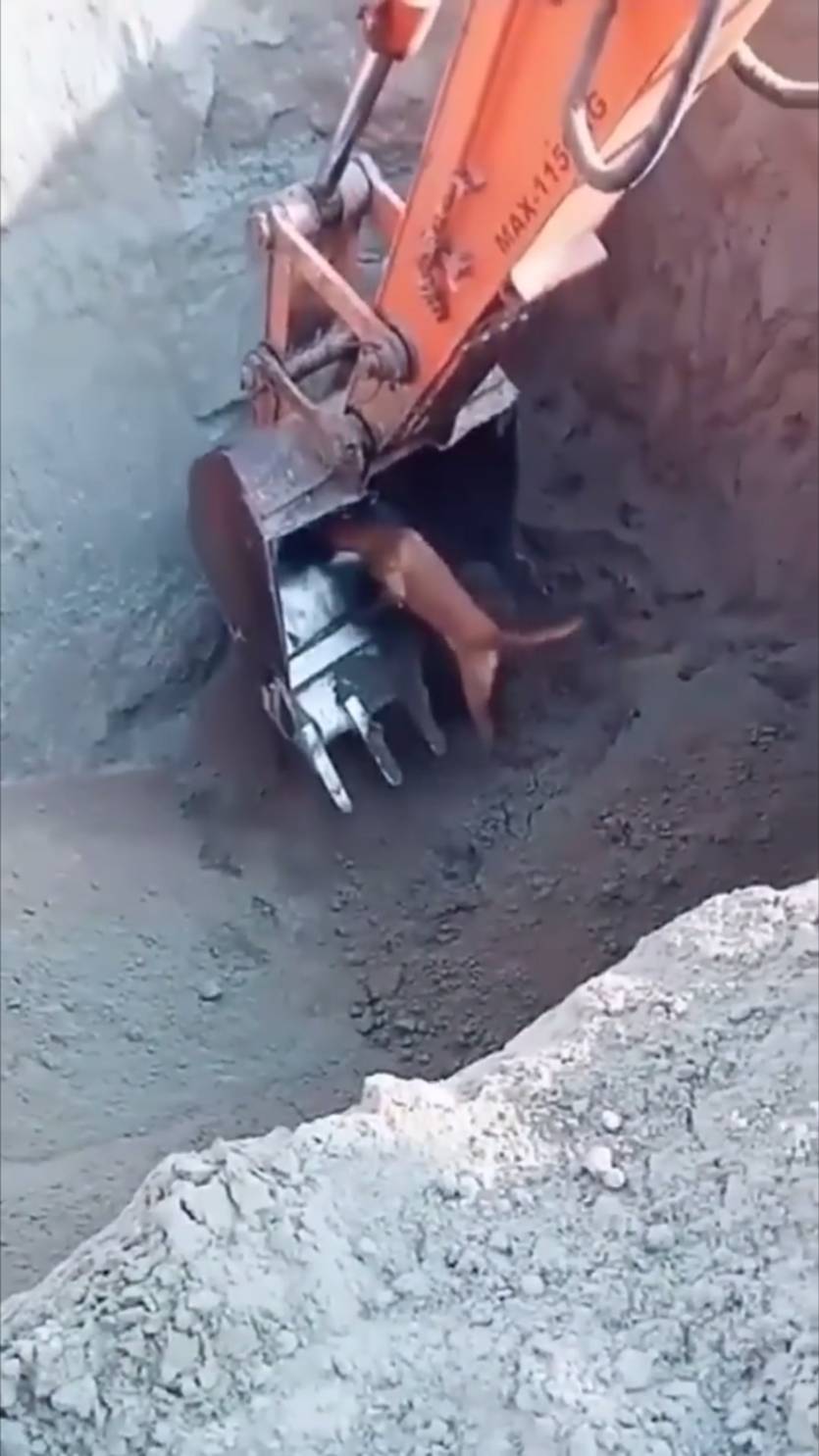 Мир не безнадежен ! 3 смотреть онлайн