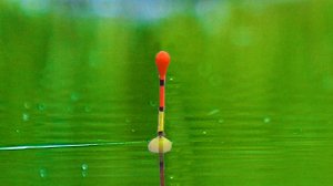 ОТКРЫЛ СЕЗОН РЫБАЛКИ НА ПОПЛАВОЧНУЮ УДОЧКУ! ИКОРНЫЕ КАРАСИ! Рыбалка на поплавок на карася с берега