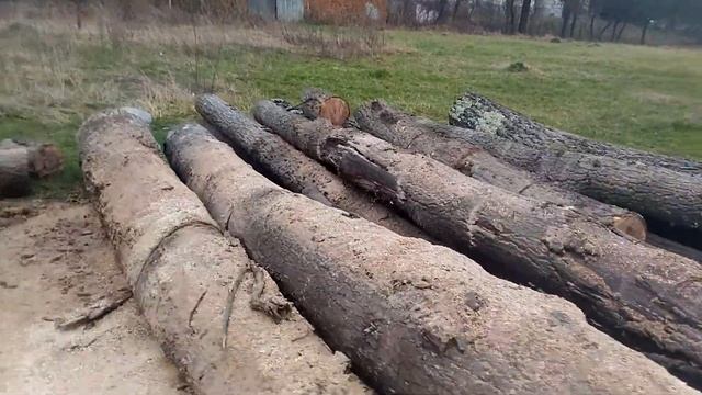 Randament lanţ picco duro pe Stihl MS 440 смотреть онлайн