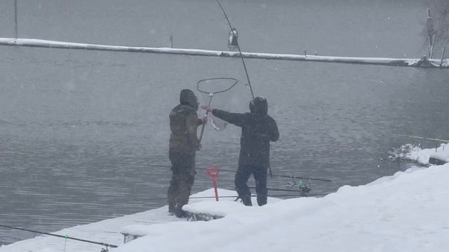 Поимка на Основном водоеме смотреть онлайн
