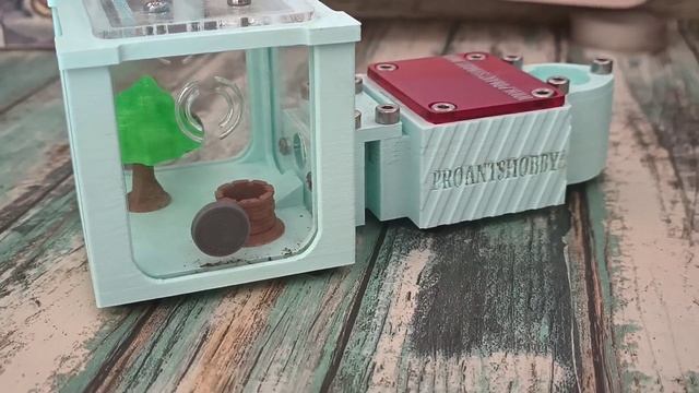 💧Evolución de mi colonia de hormigas en el hormiguero de Proants! Camponotus maculatus subnudus смотреть онлайн