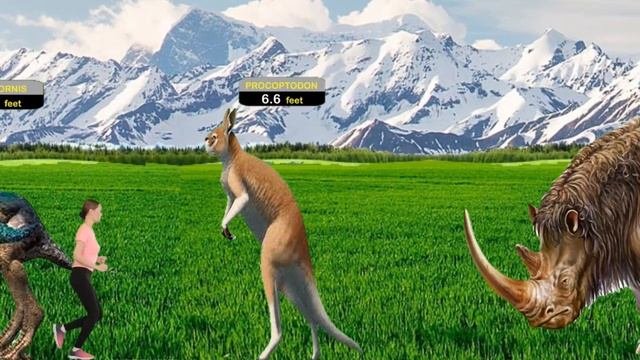PREHISTORIC ANIMALS SIZE COMPARISON | CENOZOIC BEAST | PREHISTORIC EXTINCT ANIMALS смотреть онлайн