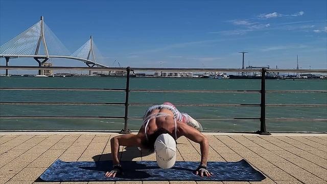 отжимания смотреть онлайн