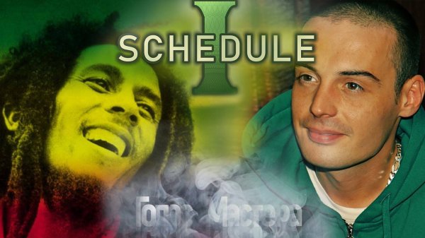 Открываем новые горизонты / Schedule I