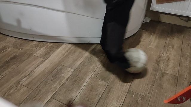 21.12.24 3ий год разминки с мячом