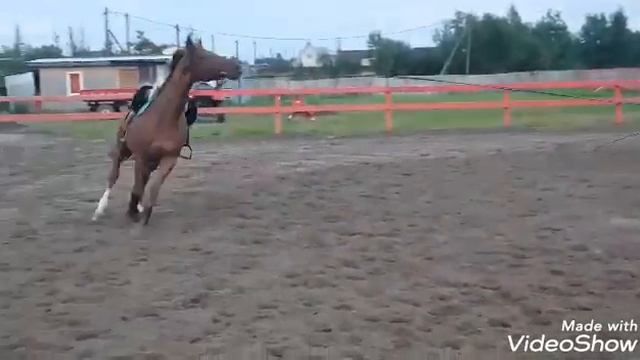 Рыжик смотреть онлайн