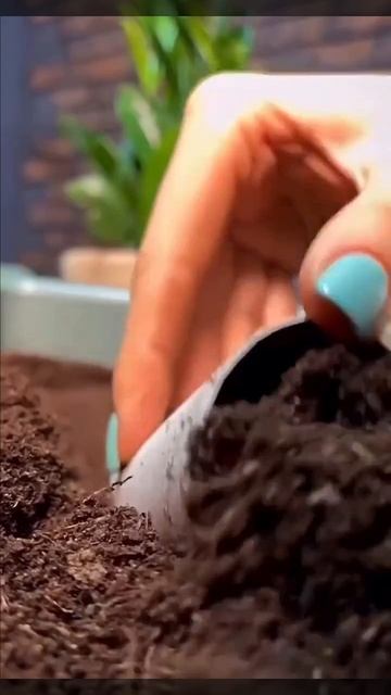 Стаканчики для рассады своими руками 🌿