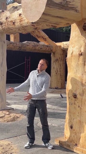 БРЕВНО 1 МЕТР в диаметре! 100%