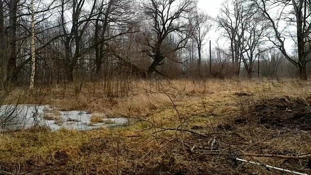ВЫЖИВАНИЕ ПО ЖИЗНИ. Приветствие. смотреть онлайн