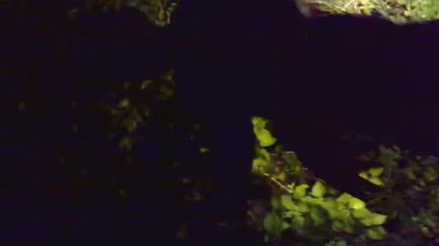 приведение зомби смотреть онлайн