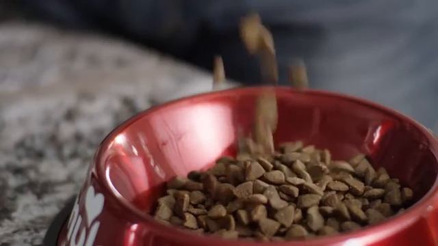 Nulo Freestyle Adult Trim Dog Food - Final | PuppySimply смотреть онлайн