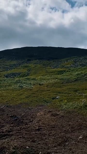 Здесь была установлена палатка группы Дятлова, в ту роковую ночь! смотреть онлайн