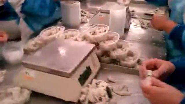 ПРОЦЕС РОБОТИ НА РИБНІЙ ФАБРИЦІ смотреть онлайн