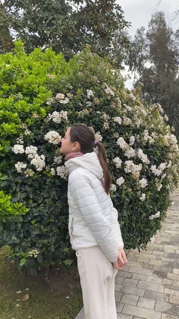 Арис «Кристалл Эльфенка» смотреть онлайн