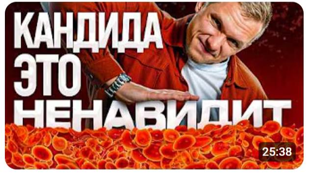 Убей кандиду едой – 4 продукта от кандидоза