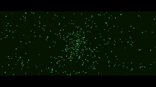 Топ интро без текста смотреть онлайн