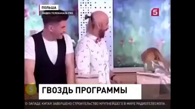 Гвоздь программы смотреть онлайн