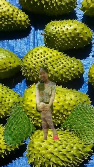 Soursop #shorts #fruits #soursop #trending #viral #satisfying #fyp #cupcat #funplay смотреть онлайн