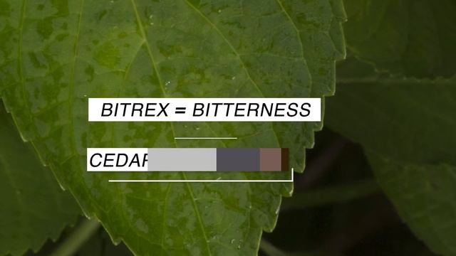 Prevent Animals From Eating Your Plants With Ortho® Animal B Gon™ MAX смотреть онлайн