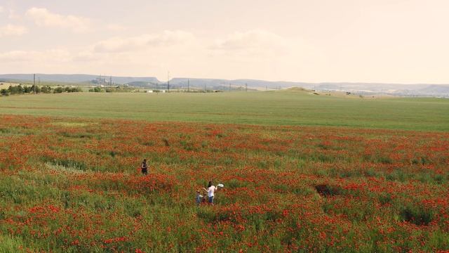 Маки Крыма смотреть онлайн