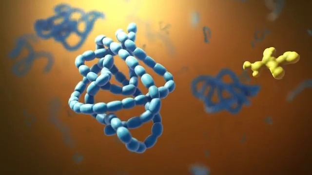 Hujayralarning Umumiy Tuzulishi Prokariot Va Eukariot Hujayralar 21 марта 2023 г.