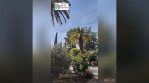 «Amra Park-hotel & SPA», Гагра, Абхазия