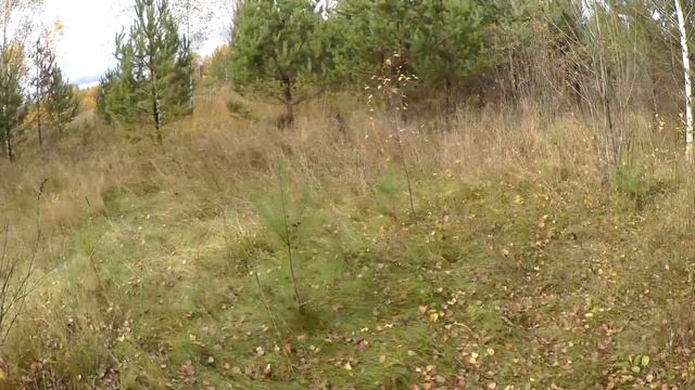 woodcock 2017. Просто смотреть онлайн