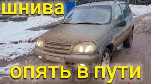 ДЛЯ ЧЕГО НУЖНА НИВА?