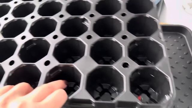 Заболела,НО НАДО СРОЧНО В МАГАЗИНВЕЧЕРОМ на КУХНЕ ЧЕБУРЕЧИМ смотреть онлайн