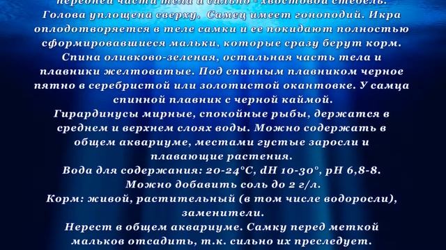 Аквариумная рыбка Гирардинус смотреть онлайн