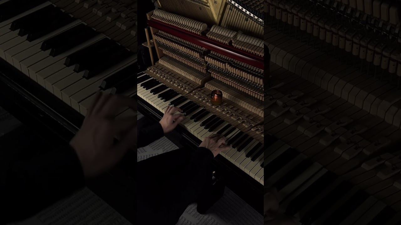 Corpse bride piano duet #aesthetic #piano #calm смотреть онлайн