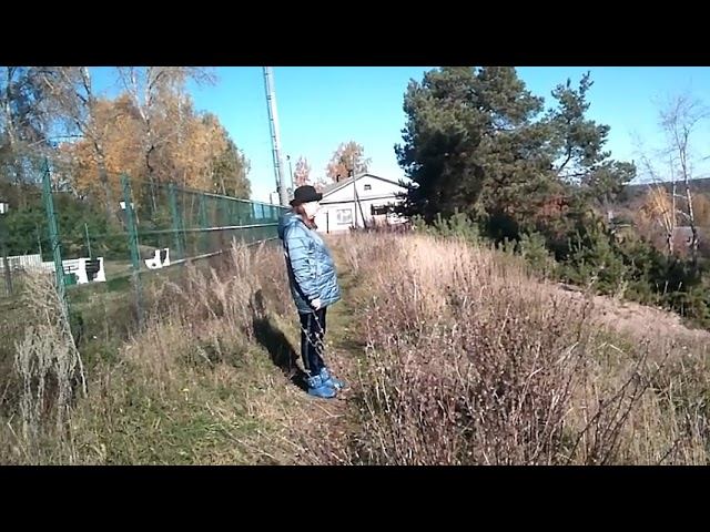 Бархатный сезон - Автор музыка и поёт Анатолий Корж смотреть онлайн