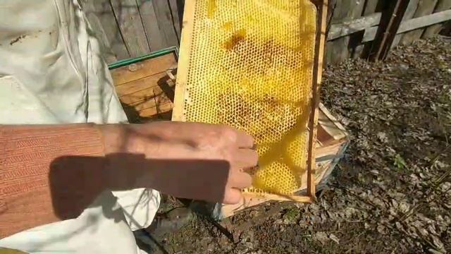 Позаботимся о будущих отцах. смотреть онлайн