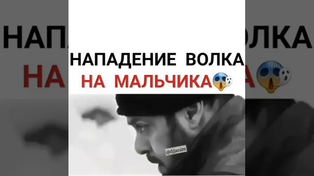 Но нападение волка на мальчика смотреть онлайн
