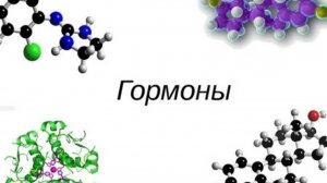 Гормоны
