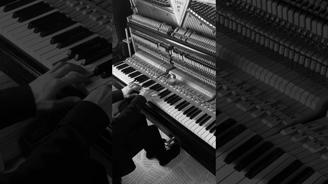 Only Human❤️ #piano #aesthetic #calm смотреть онлайн