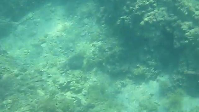 Подводная съемка в Хорватии