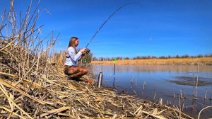 ЗАКИНУЛА ПОПЛАВОК,А ТУТ РЫБА КИШИТ! САЗАН,КАРАСЬ НА УДОЧКУ РЫБАЛКА ВЕСНОЙ