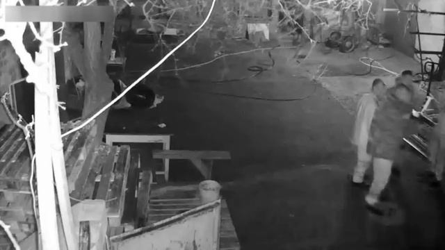 Украинские женщины отбивают от ТЦКашников своих мужей смотреть онлайн