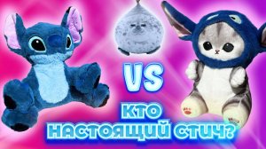 КТО НАСТОЯЩИЙ СТИЧ?!