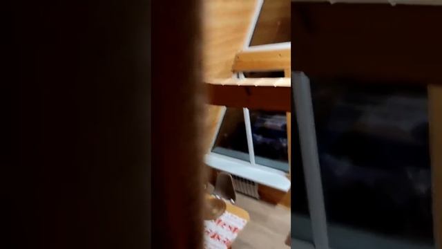 Шале в Белгороде смотреть онлайн