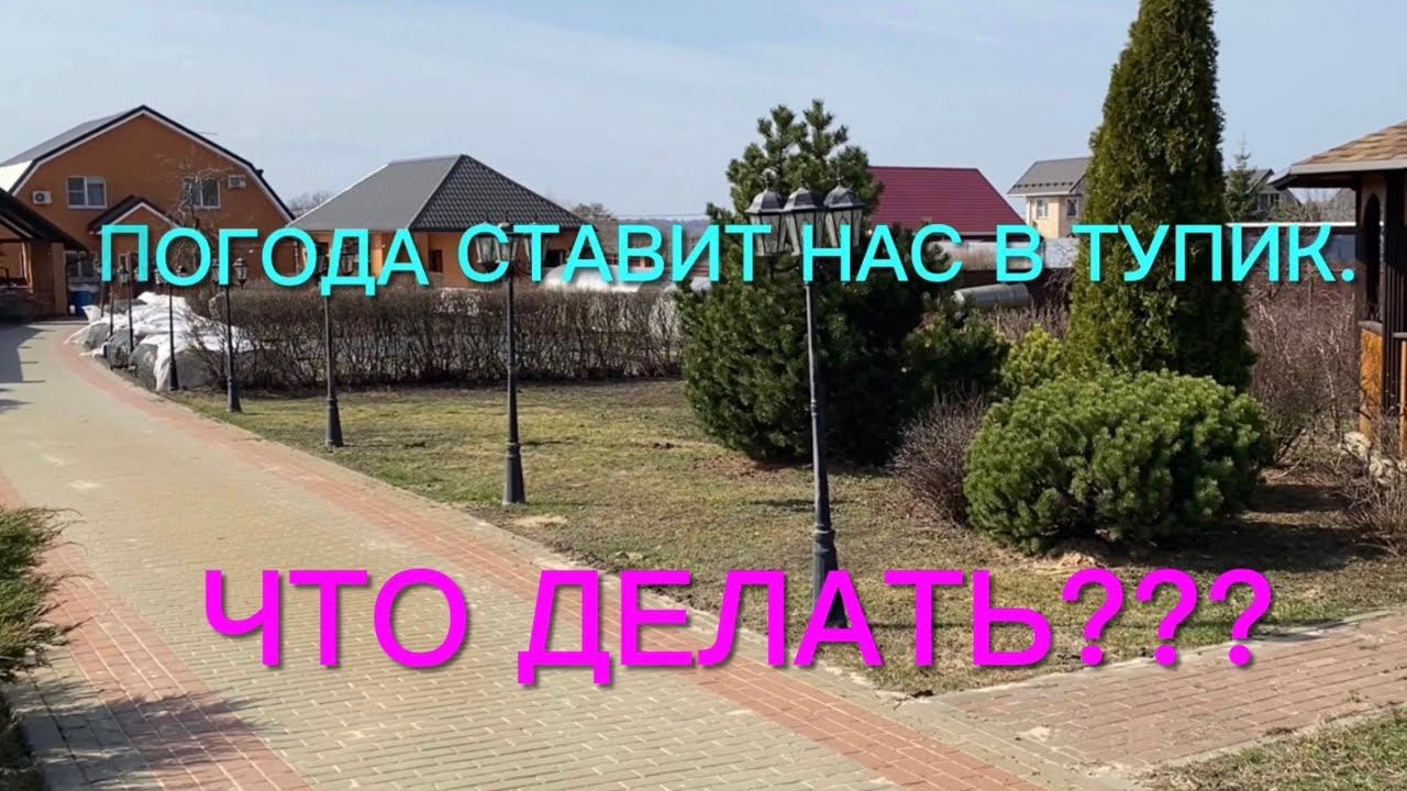 Розы. Я в шоке. Планы рушатся на ходу. Но кое- что уже сделано. Открывать розы или нет? смотреть онлайн