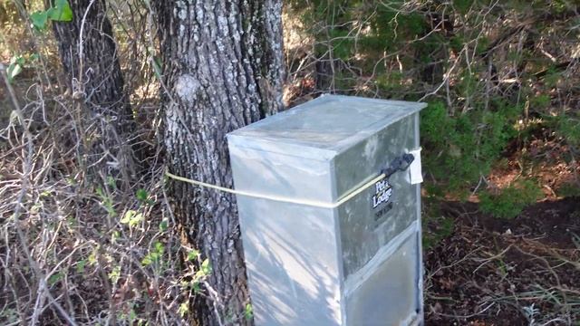 Keeping Livestock Guardian Dogs Healthy смотреть онлайн