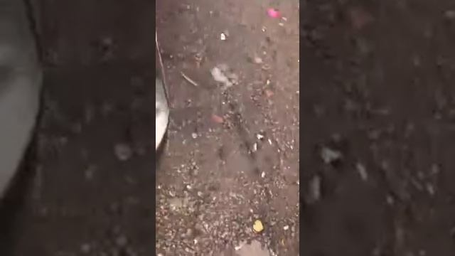 Приора прайд pride solo v2 смотреть онлайн